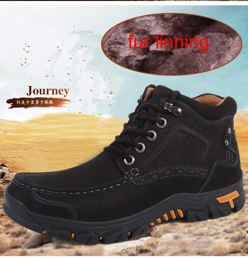 2187-1-_3