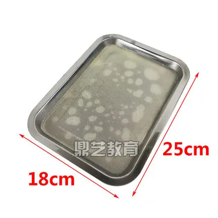 

Biological equipment Anatomical plate 18*25cm teaching apparatus free shipping