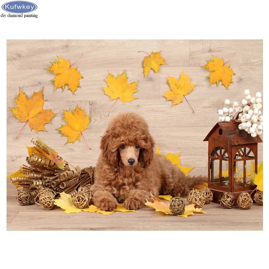 

Full diy diamond embroidery Poodle dwarf diamond painting cross stitch 5d diamond mosaic pictures of rhinestones fashion decor