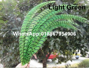

Factory Exporting 80-90cm Length 50pcs/lot Light Green Natural ZEBRA Lady Amherst Pheasant Tail Feathers