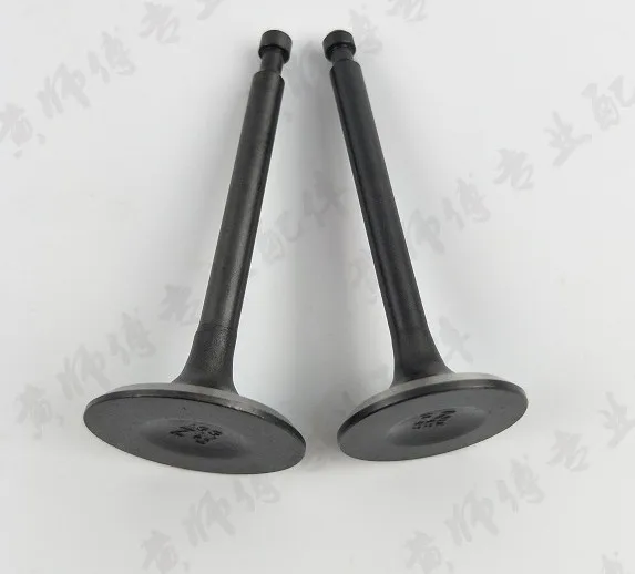 

IN&EX valves for 154F 3HP Gasoline Engine,1~1.5kw Generator Valve kit
