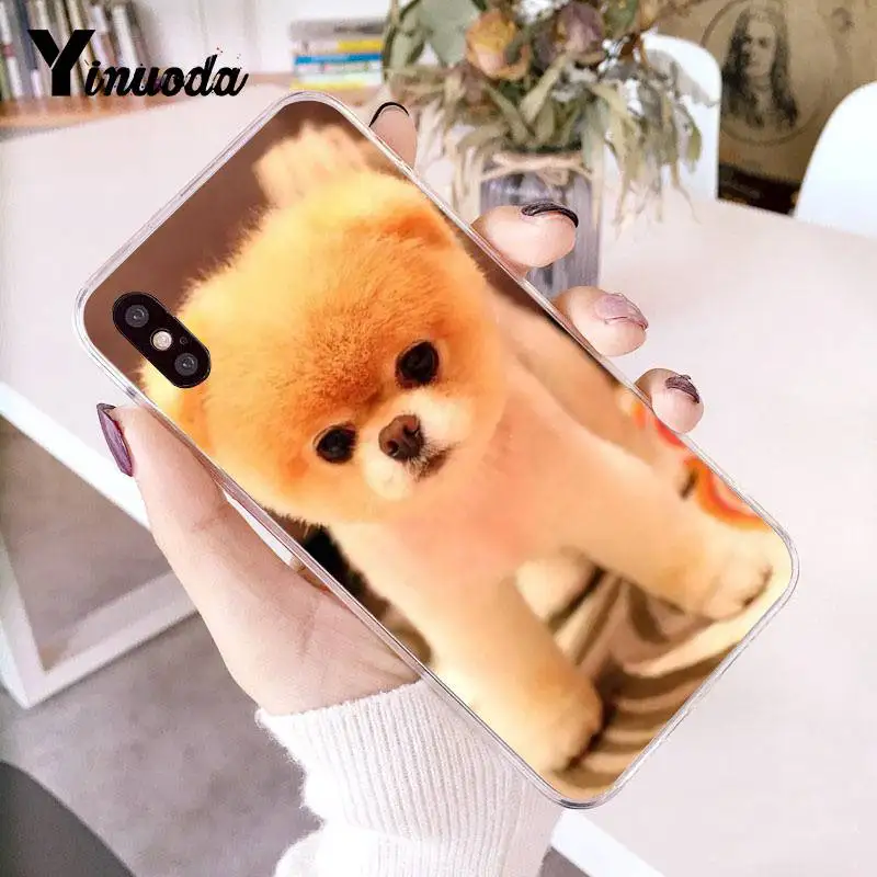 Yinuoda Pomeranian dogs Красочный милый чехол для телефона для iPhone 8 7 6 6S Plus X 10 5 5S SE XR XS XSMAX11 11pro 11promax