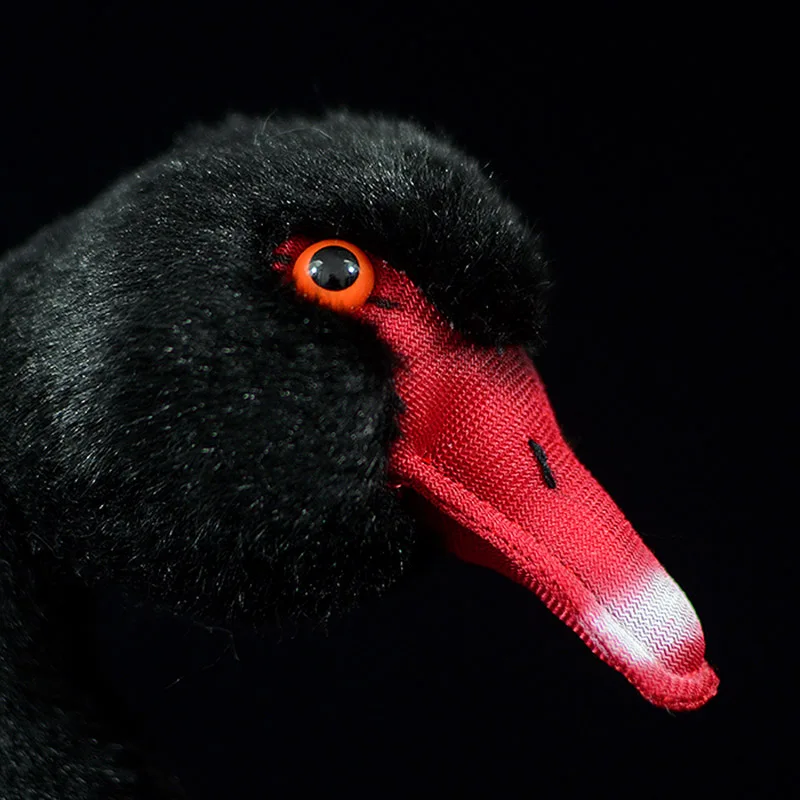 92-0501-6