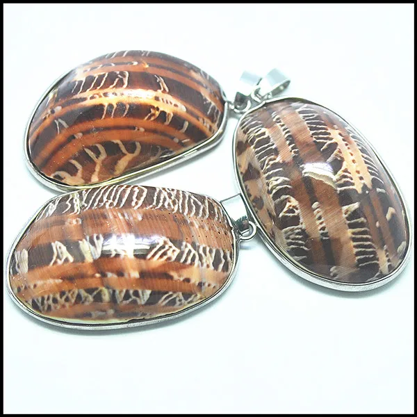 

natural honey cowrie red cowry shell pendants from ocean seawater for new tourism collections items selling by piece