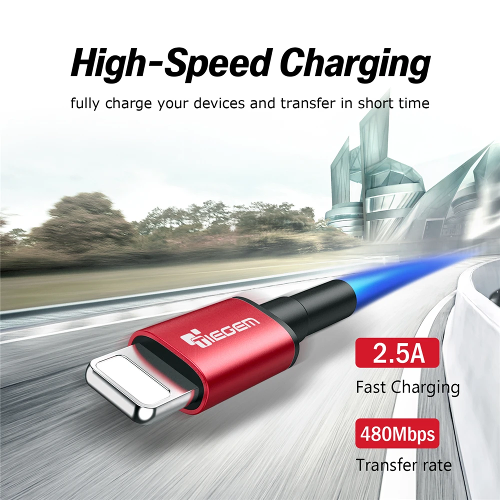 iPhone cable 110504