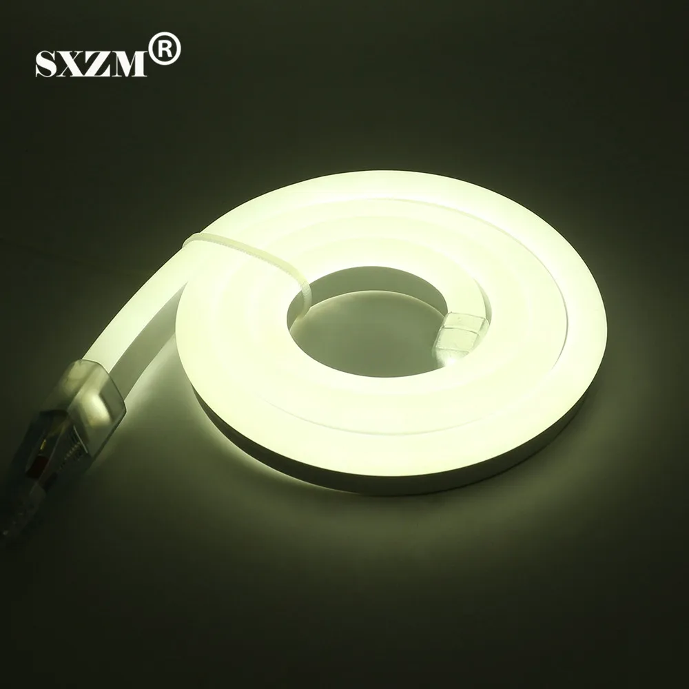 

SXZM 220V 2835 Neon led strip light flexible string 120led/M Fairy lighting IP68 Waterproof with EU plug,Outdoor decoration