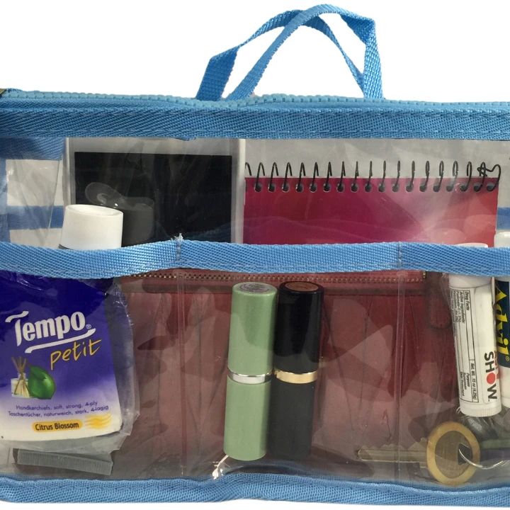 DDI 1980740 Handbag Organizer - Clear/Light Blue Case of 20 (1)