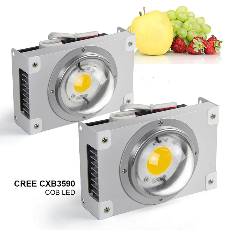 CREE CXB3590 COB светодиодный светильник для выращивания DIY модуль 100 Вт 200 Вт лампа для выращивания комнатных растений Идеальный держатель YPL-089 светодиодный драйвер полный спектр - Испускаемый цвет: CXB 3590-X1S