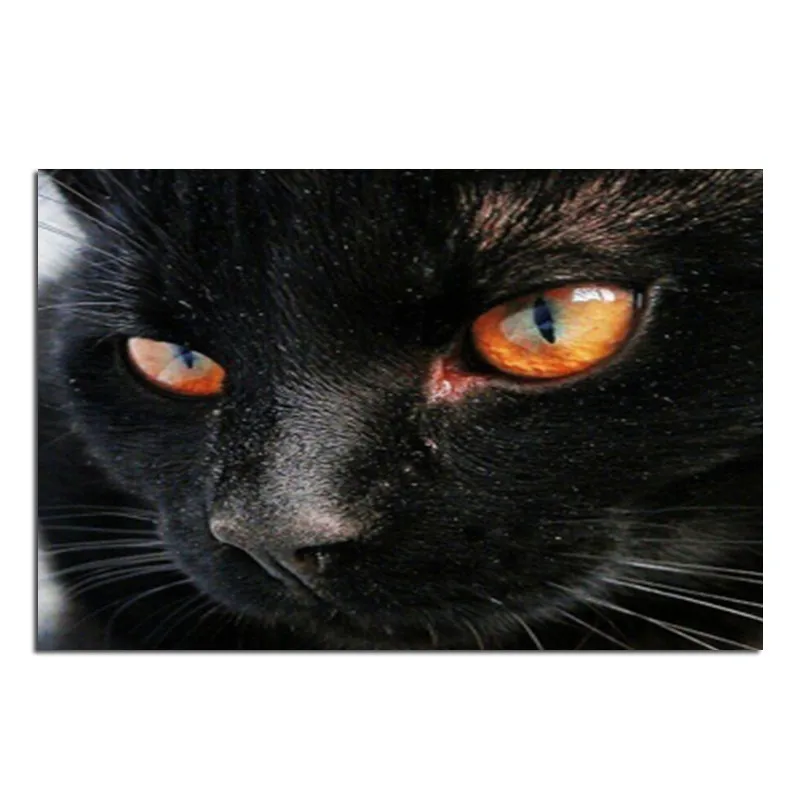 pictures of rhinestones Diamond Embroidery Black Cat Rhinestone DIY diamond painting Mosaic Painting Full round | Дом и сад