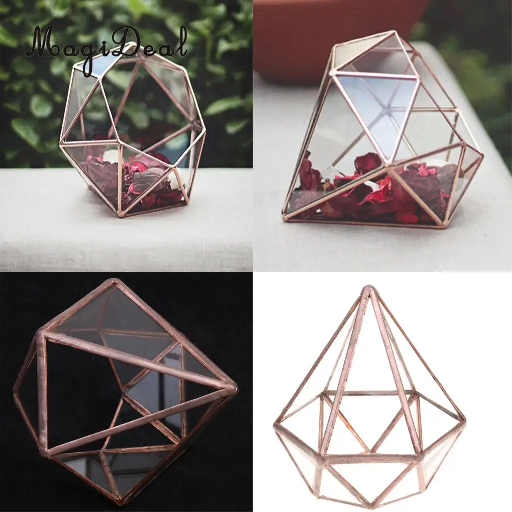 

MagiDeal Vertebral Glass Geometric Terrarium Tabletop Succulent Air Planter Box