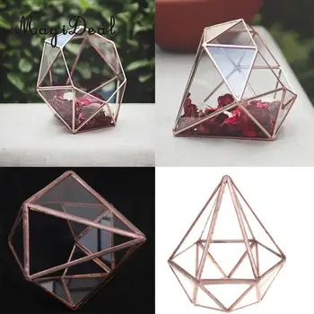 

MagiDeal Vertebral Glass Geometric Terrarium Tabletop Succulent Air Planter Box