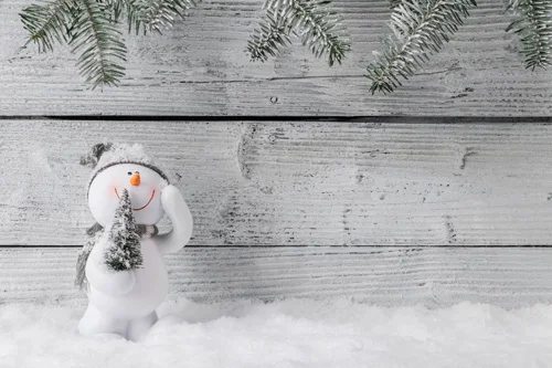 HUAYI Christmas backdrop photography newborn backdrop snowman board photography background XT468