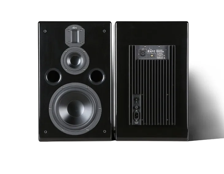 bass monitor speakers