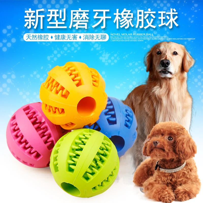 Golden Retriever large dog bite resistant ball Teddy puppy teeth