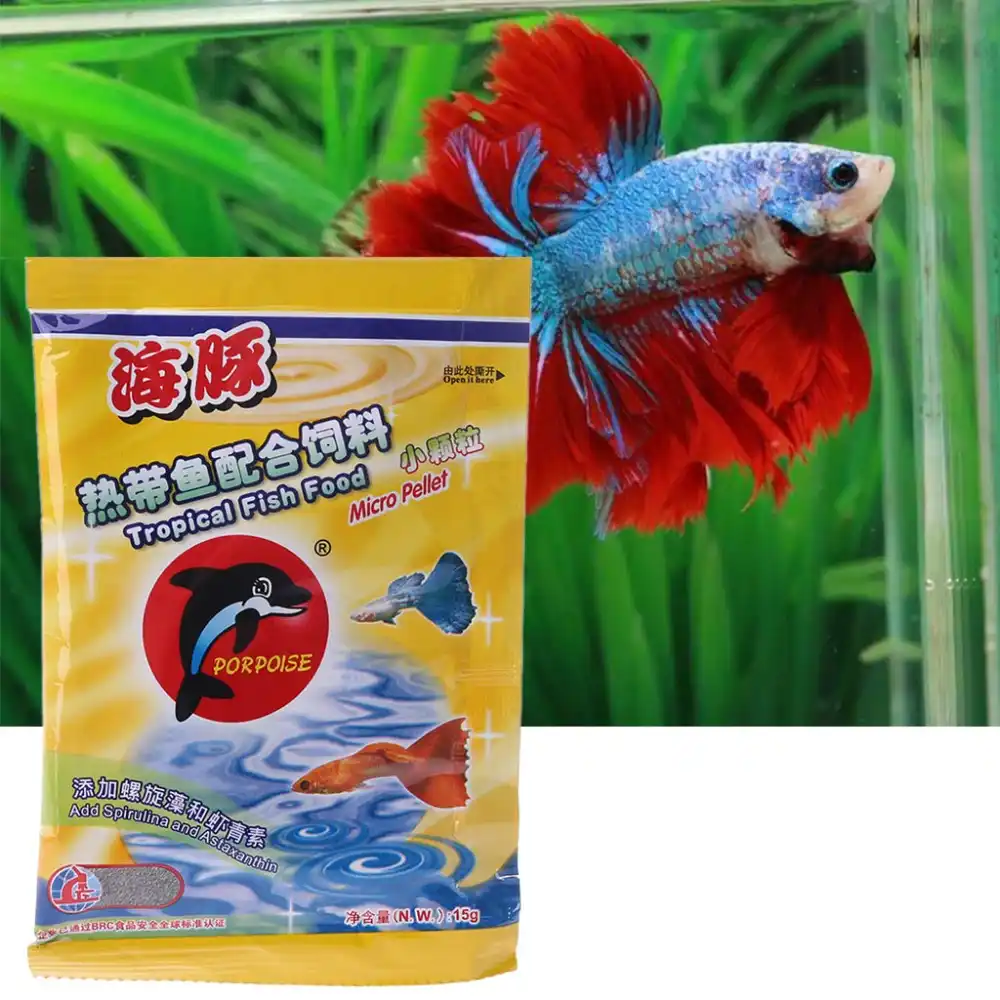 tropical fish and feed
