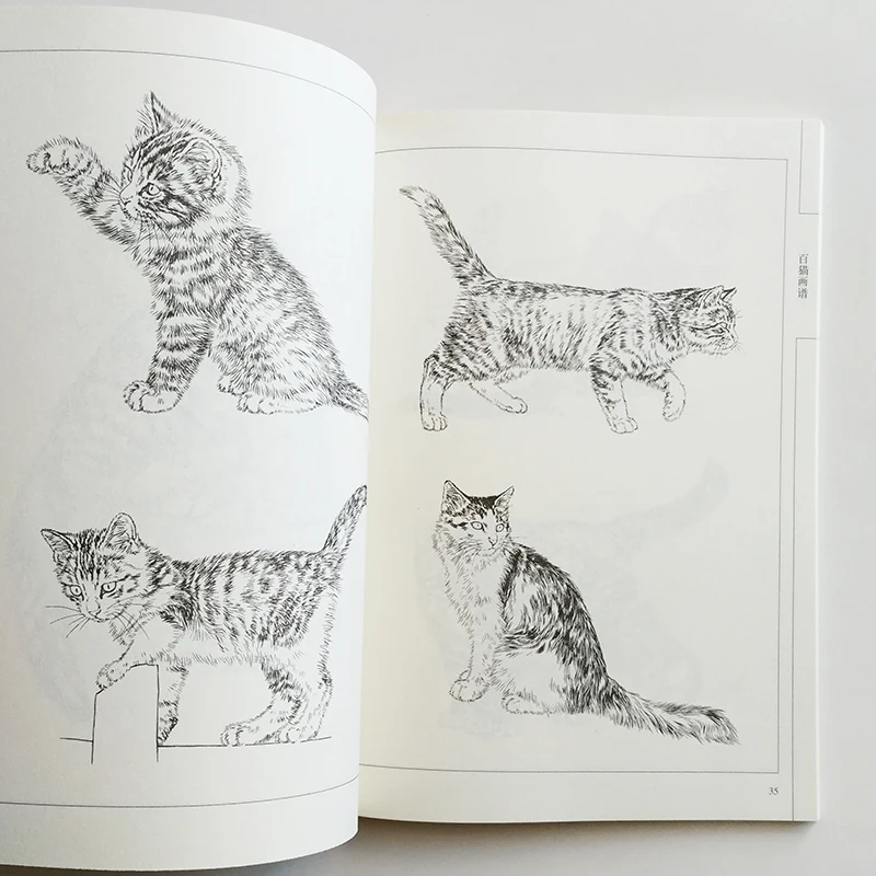 94 páginas cem gatos pintura coleção livro