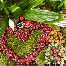 Миниатюрный орнамент маленький домик декоративный Декор Сказочный Сад Горячая мини ЦЫПЛЕНОК/корова/овца/собака/кошка декоративный Декор аций для дома