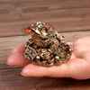 Feng Shui Toad Money LUCKY Fortune Wealth Chinese Golden Frog Toad Coin Home Office Decoration Tabletop Ornaments Lucky  YLM9769 ► Photo 2/6