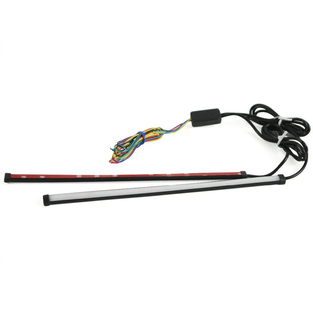 DL-19 (1)
