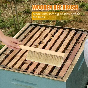 

Beekeeping Tools Wood Wasp Sweep Brush Two Rows of Horse Tail Hair New Bee Brush Beekeeping Equipment Pig's Bristles Material
