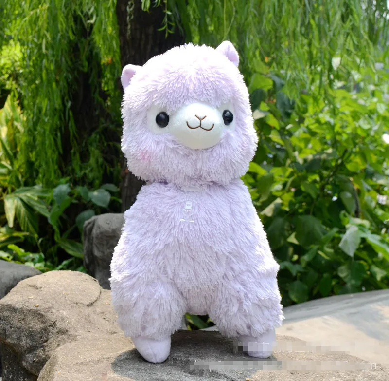 1593984043_1373902412