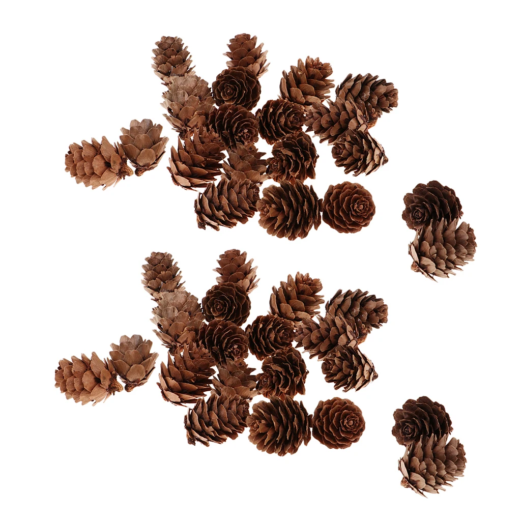 

40 Pieces Natural Real Dried Pine Cones Pinecone for Bowl Decoration Christmas Ornaments Party Decor 0.98 x 1.18 inch