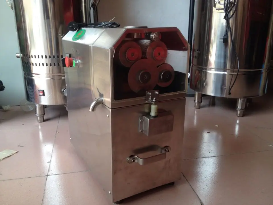 sugar cane juicer (2)