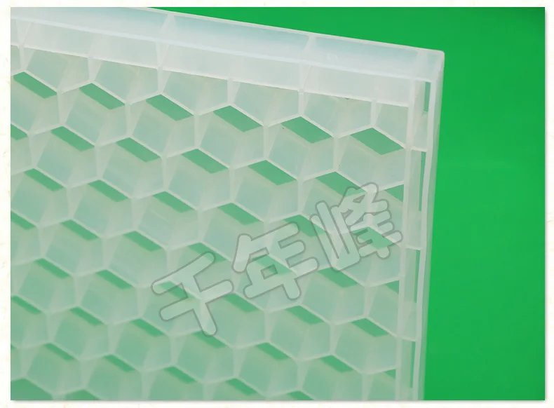 1pcs Plastic Honey Bee Pollen Feeder Porous Feeder Honey Bee