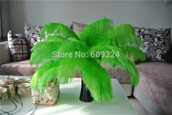 

Free shipping 100pcs12-14inches Light Green ostrich plume feathers for Decoration Wedding table centerpiece