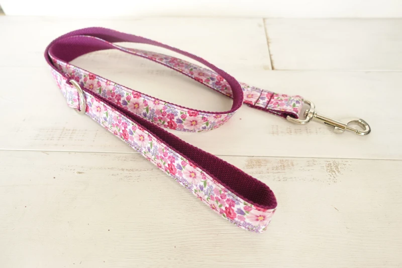 Pet Dog Collar and Leash (11)