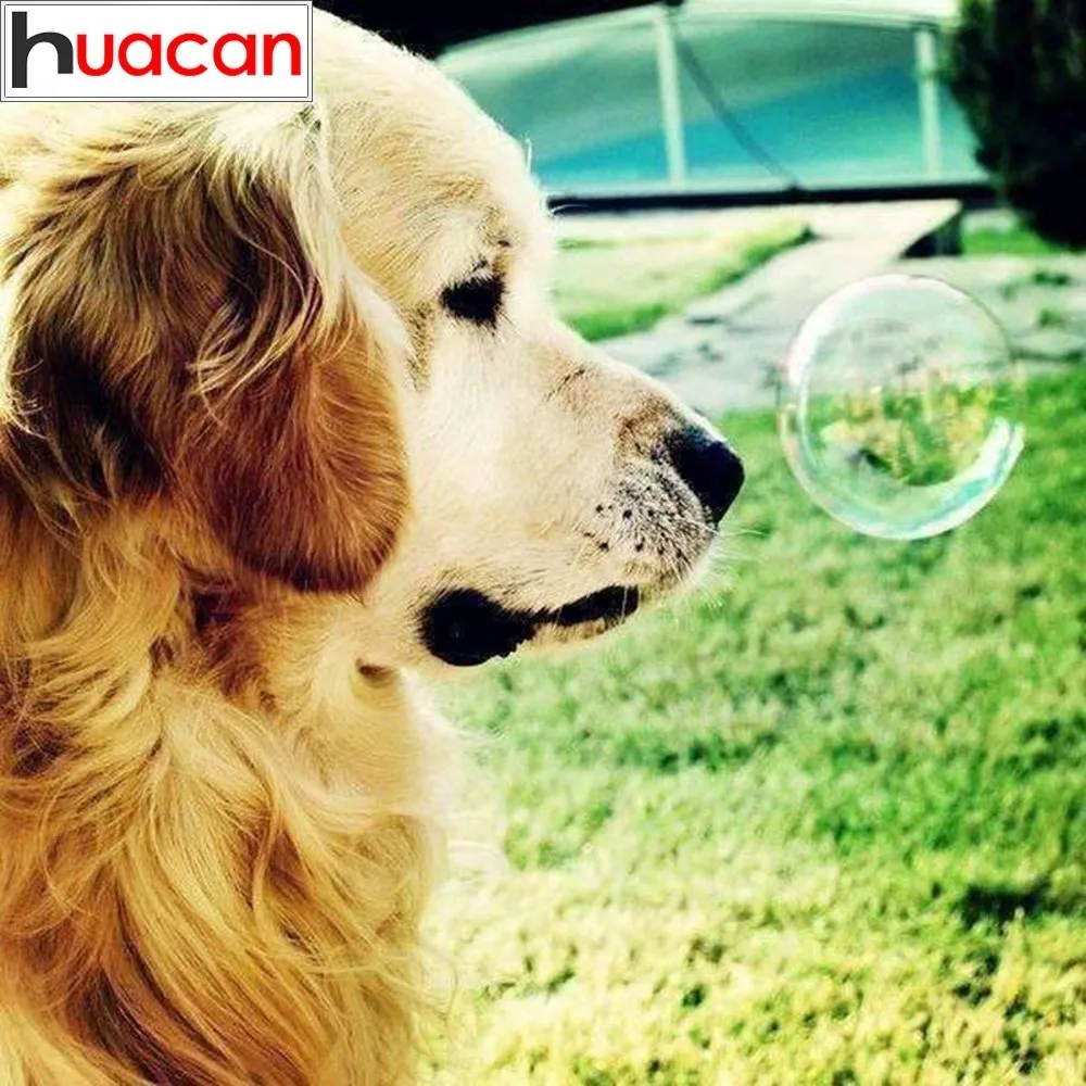 

HUACAN Diamond Mosaic Dog Diamond Embroidery Animals Full Drill Diamond Painting Cross Stitch Decor Home Picture Of Rhinestone