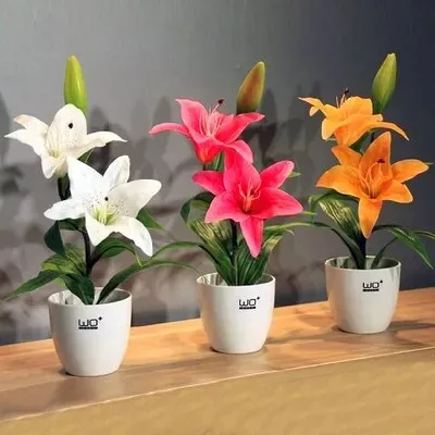 lily flower bonsai plants bonsais 10pcs
