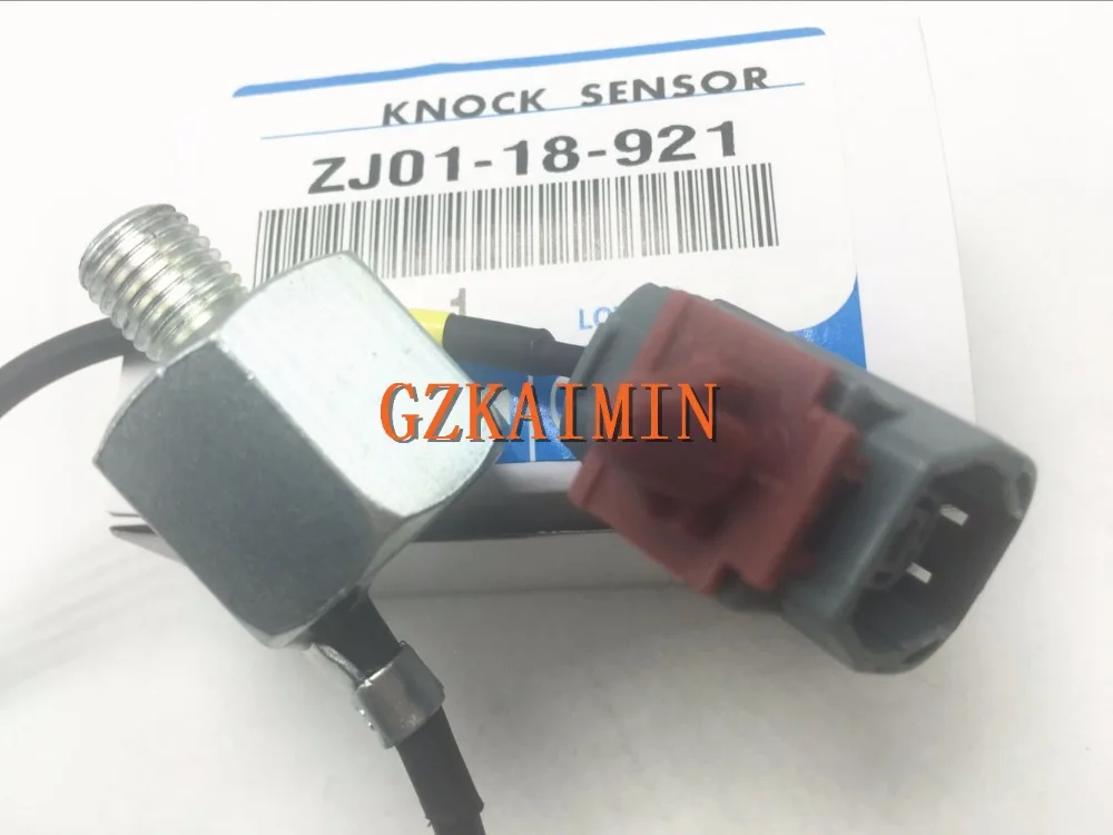 ZJ0118921_