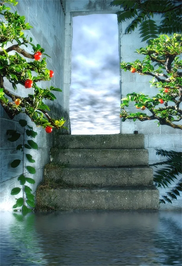 Laeacco Stairs Door Tree Fruit Dreamlike Baby Photographic Backdrops  Customized Photography Background For Photo Studio - AliExpress Consumer  Electronics