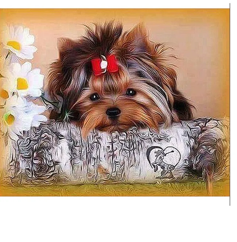 

Full Square 5D Diamond Painting Cute Dog Yorkshire Diamond Embroidery Cross Stitch Rhinestone Mosaic Pasted Painting Home Decor