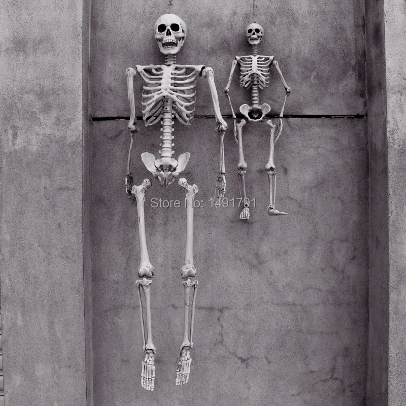 Halloween props.jpg