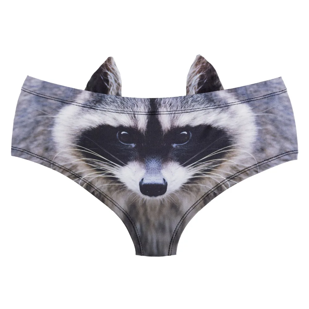 41071 raccoon (2)