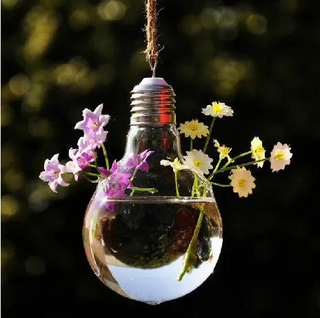 Free Shipping 6pcs Hot Sale 14 8 Cm Glass Bulb Vase Succulent