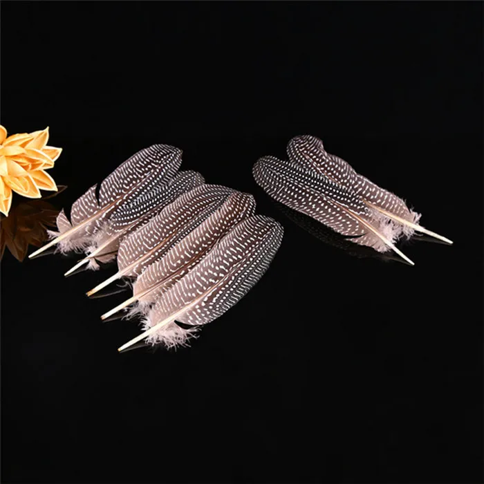 pearl pheasant feathers 10