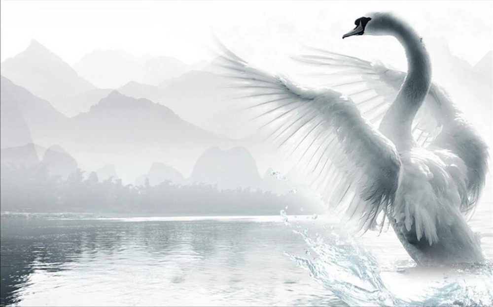 QQ20180226191628