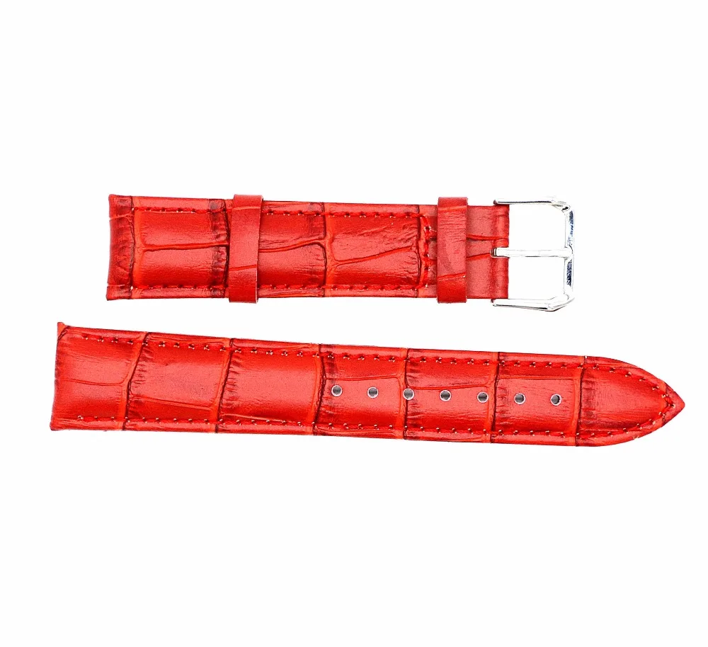 3050287480_1489434119