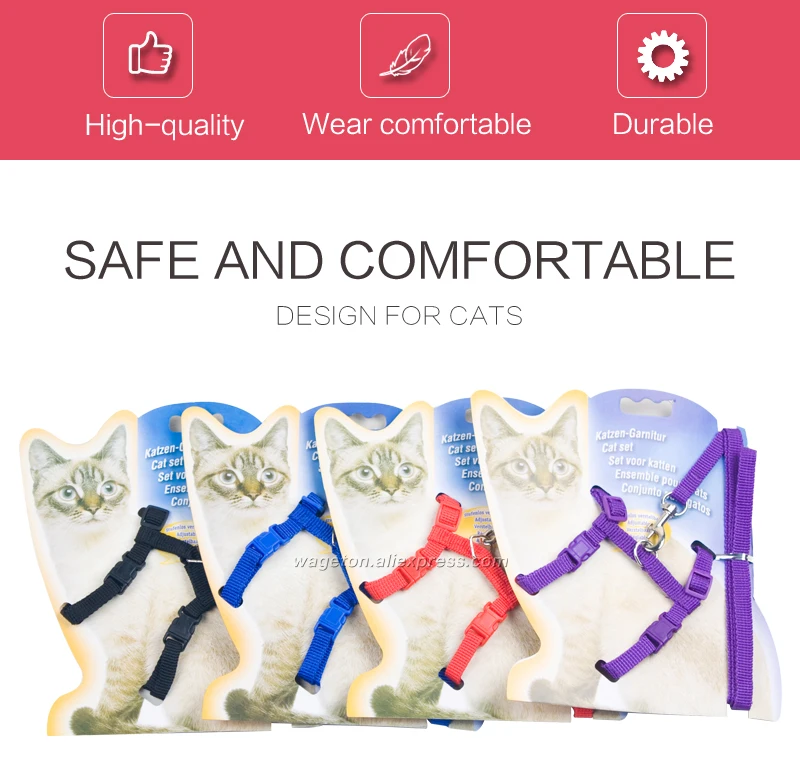 2 cat collar 