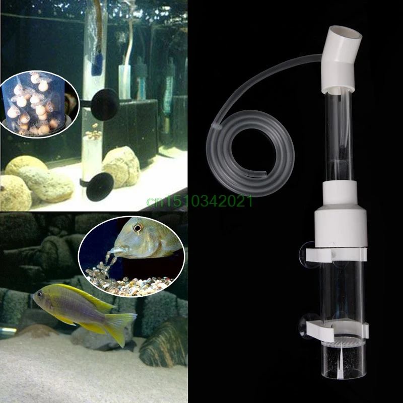 Аквариум инкубатория рыбы стакан аквариум инкубатор инкубатория рыбы яйца вместо рот-брудинг