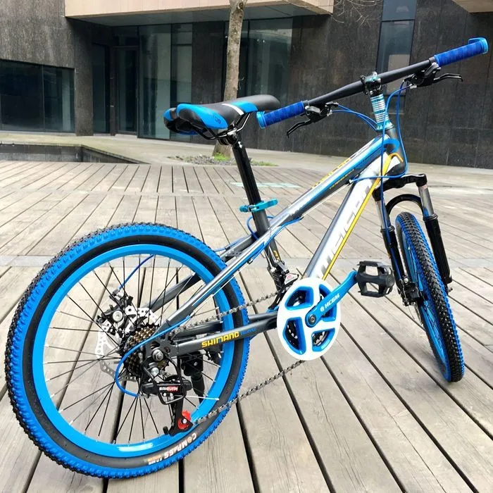 Discount high quality carbon steel material 21 speed 20 inch tourism Cycling Equipment manufacturer mountain bike 6