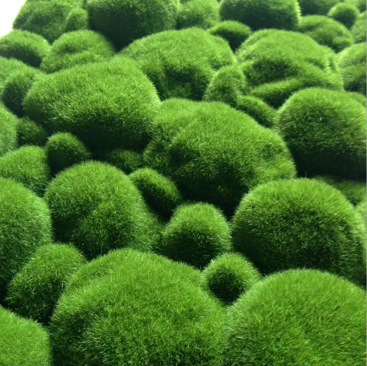 Форма газонов