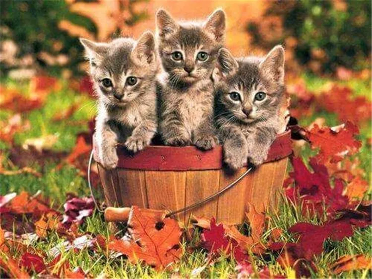 

Needlework diy diamond painting cross stitch kits full resin cube drill diamond embroidery Mosaic Home Decor animal three cats