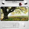 Computer Peripherals