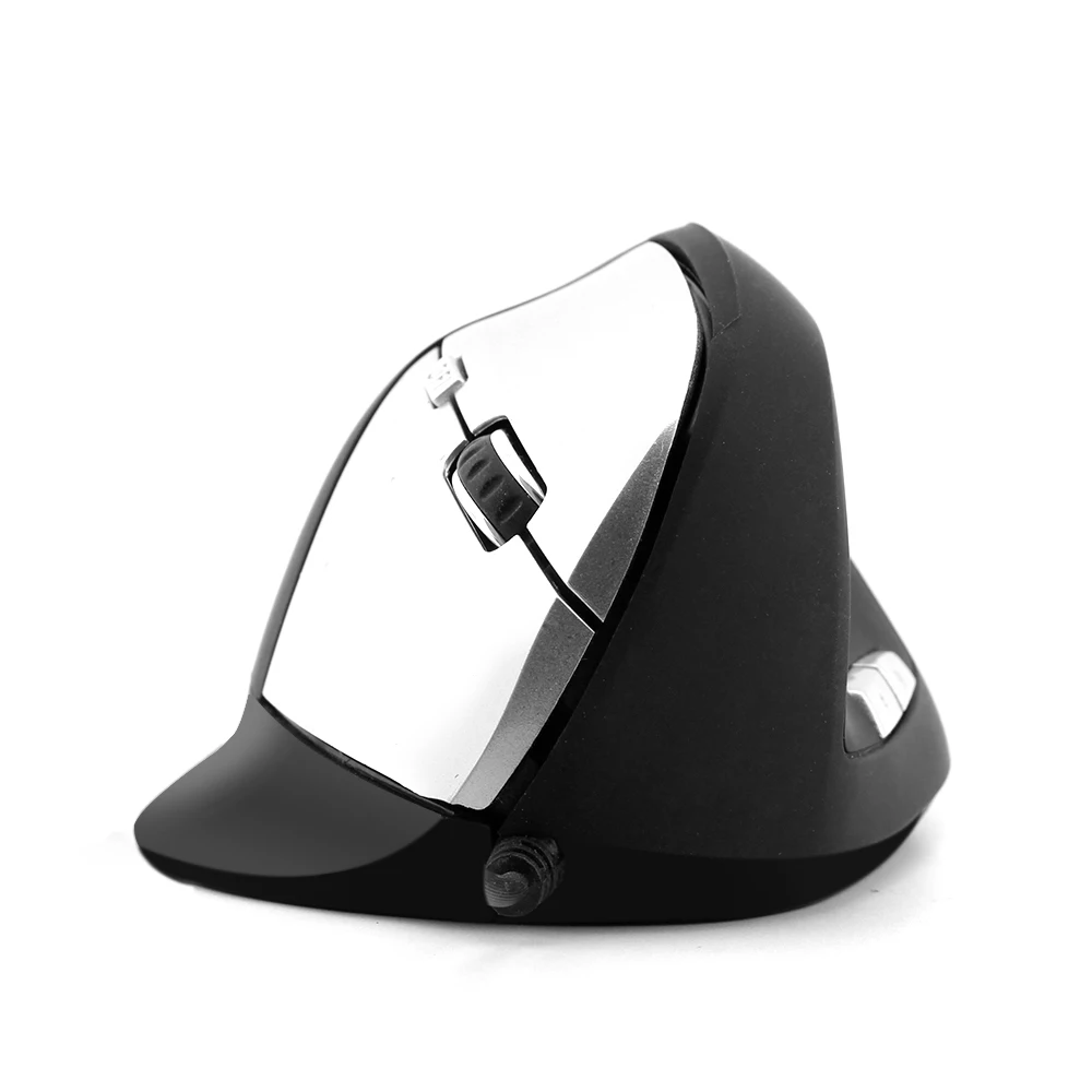 computer mouse 