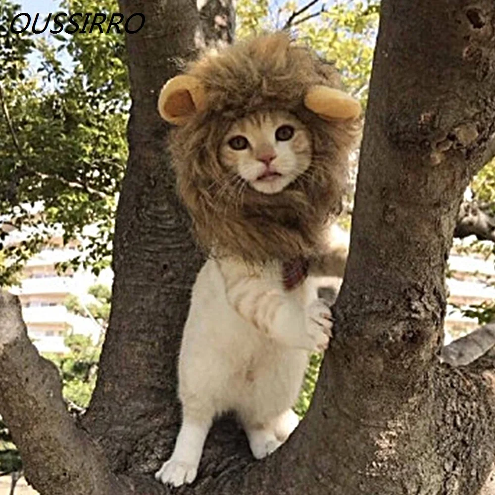 Шапка для макияжа Забавный милый костюм домашних животных Косплей льва грива