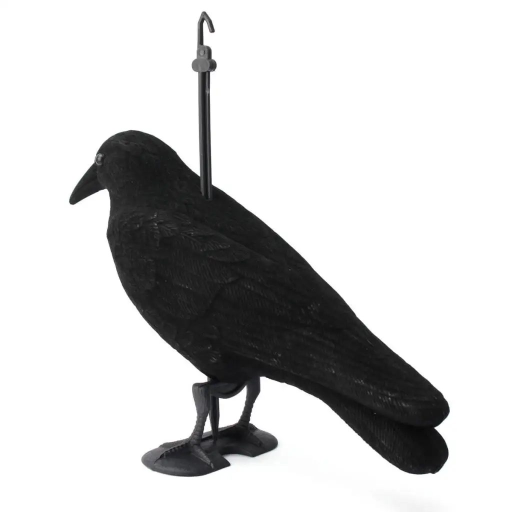 Lifelike Size Black Crow Scarer Full Body Flocked Crow Decoy Jet Trap Rook Hunt Shooting Decoy Crow Lifelike Size Black Crow Scarer Full Body Flocked Crow Decoy Jet Trap Rook Hunt Shooting Decoy Crow
